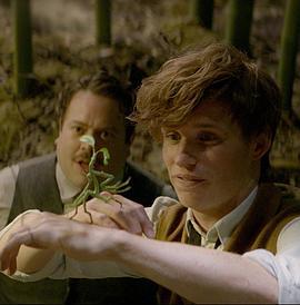 FantasticBeastsandWheretoFindThem:Bowtruckle