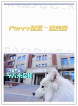 偶像练习生之PUPPY探班