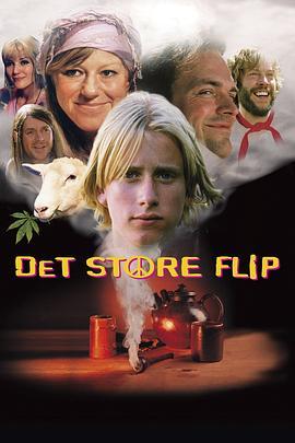 DetStoreFlip