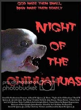 NightoftheChihuahuas