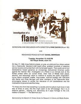 InvestigationofaFlame