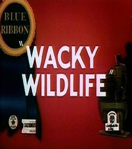 WackyWildlife